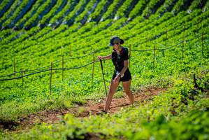 BIB: 
                            <button type="button" onclick="openModal(19161882)" class="btn btn-primary btn-sm float-right btn-popup" data-toggle="modal" data-target=".modal-high-quality">
                        <i class="fas fa-shopping-cart"></i> Add to Cart
                    </button>
                                            <button type="button" onclick="isThisMe(19161882, true)" class="btn btn-success btn-sm float-right btn-popup btn-isme hidden" data-toggle="tooltip" data-placement="bottom" title="นี่คือรูปของคุณใช่ไหม คลิกที่นี่เพื่อเอาเข้าอัลบั้ม">
                        <i class="fas fa-plus"></i> Add to album
                    </button>
                    <button type="button" onclick="isThisMe(19161882, false)" class="btn btn-warning btn-sm float-right btn-popup btn-isnotme hidden">
                        <i class="fas fa-ban"></i> Remove from album
                    </button>